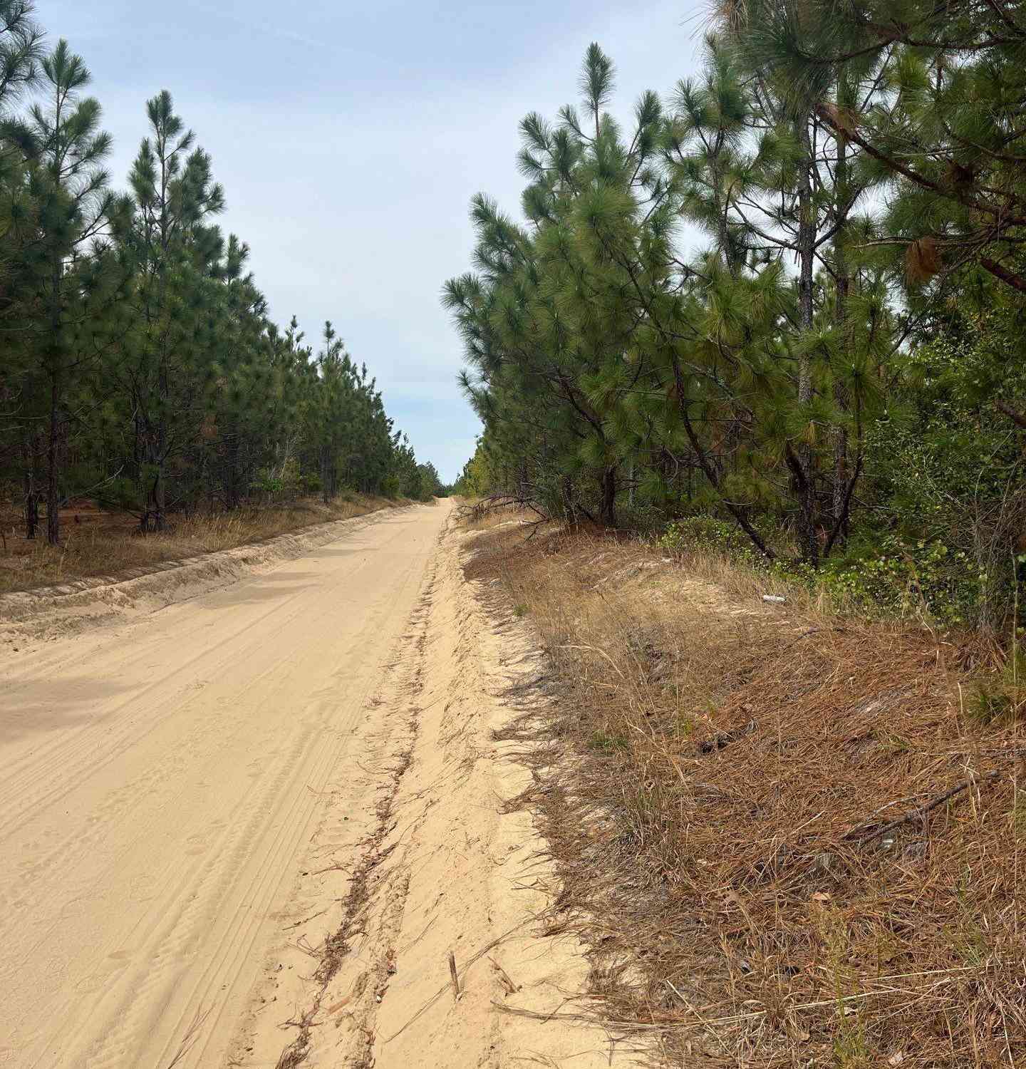 Slider Thumb