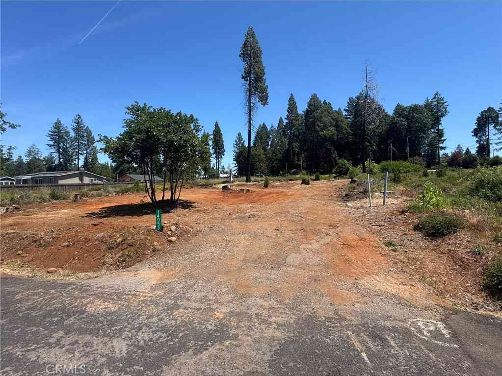 Slider Thumb