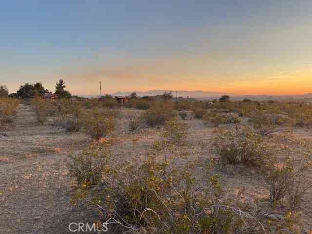Slider Thumb