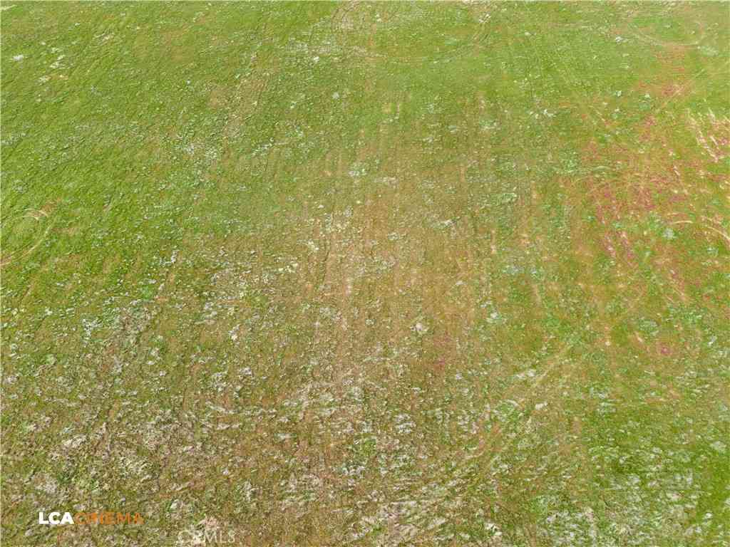 Slider Thumb