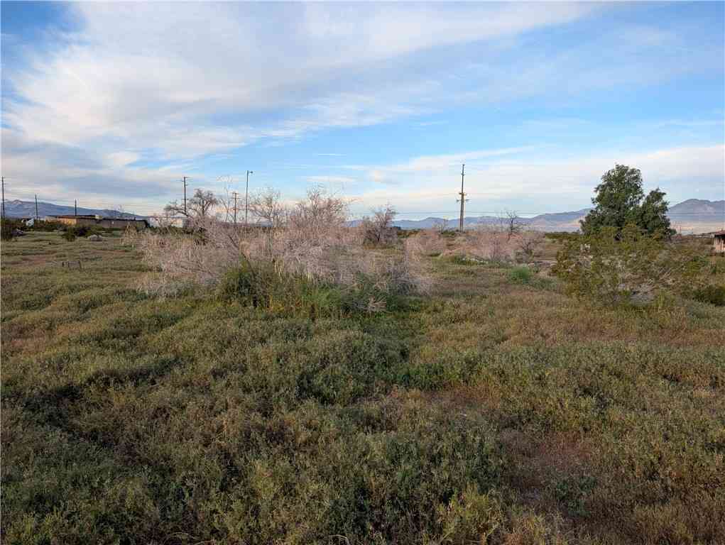 Slider Thumb