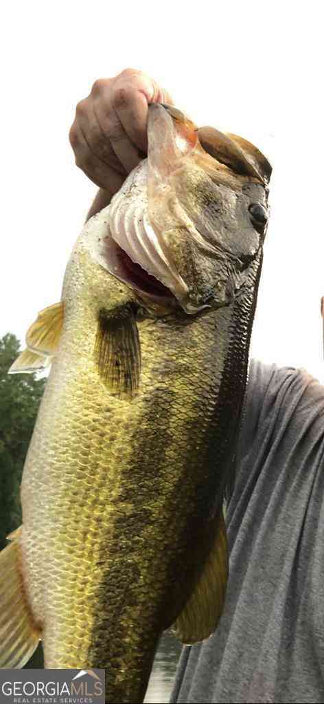 Slider Thumb