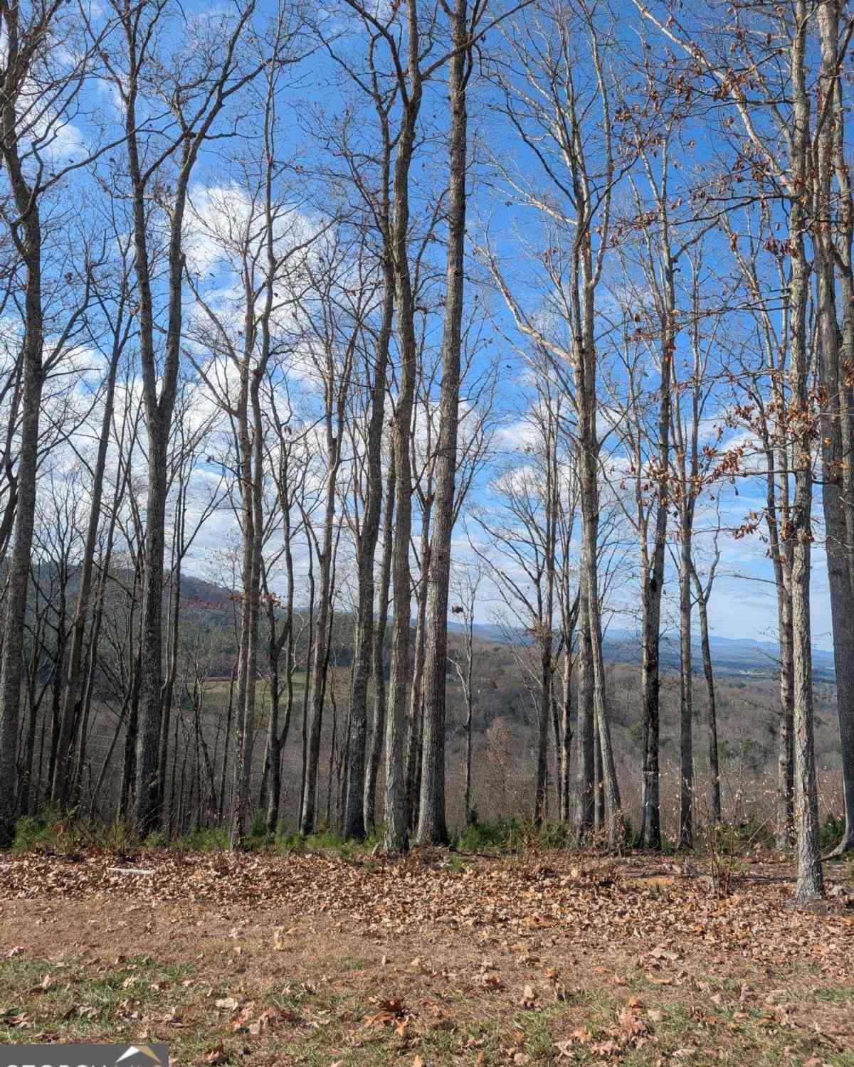 Slider Thumb
