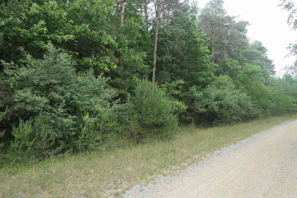 Slider Thumb