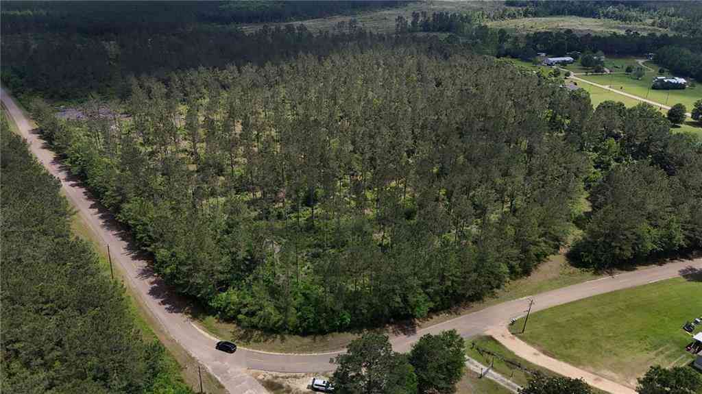 Slider Thumb