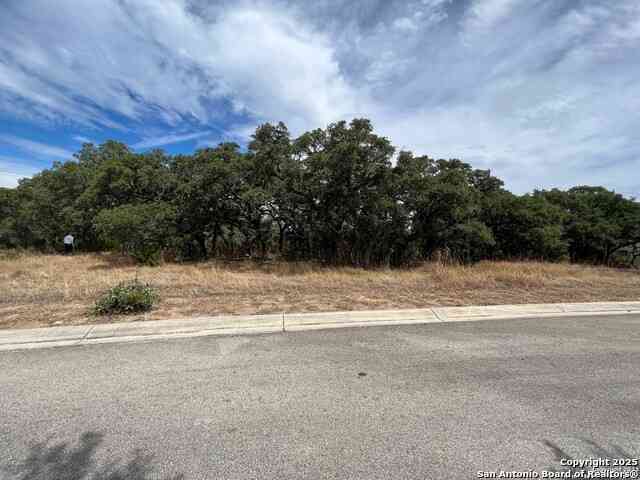 Slider Thumb