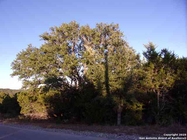 Slider Thumb