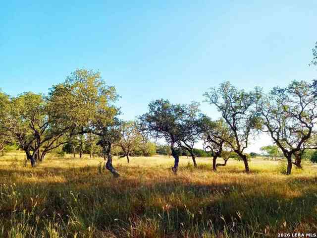 Slider Thumb