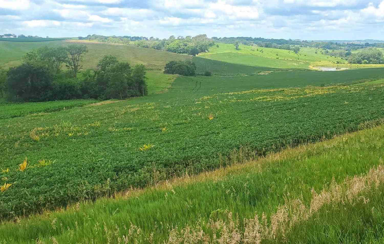 Vacant Land For Sale - LOT 9 Donna Reed Road<br/> Crawford County, Denison, IA 51442