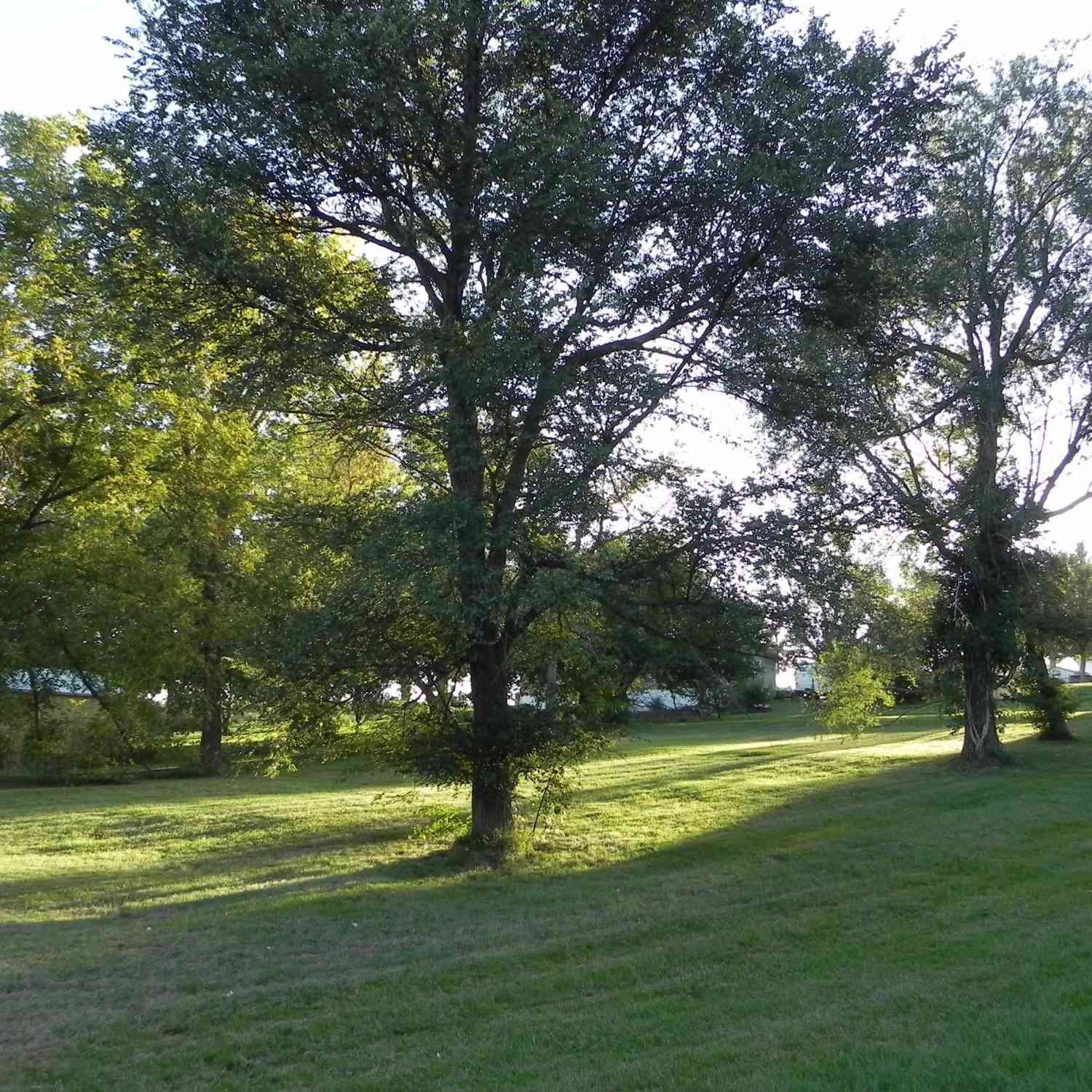 Vacant Land For Sale - 106 Tinder Street<br/> Bedford, IA 50833