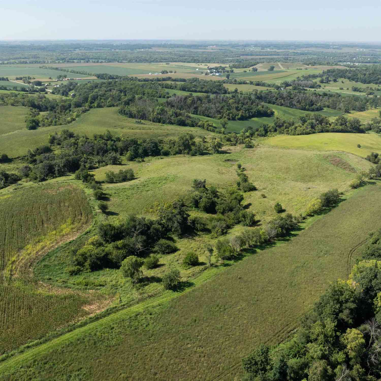 Vacant Land For Sale - TBD 350th Street<br/> Tama County, Chelsea, IA 52215