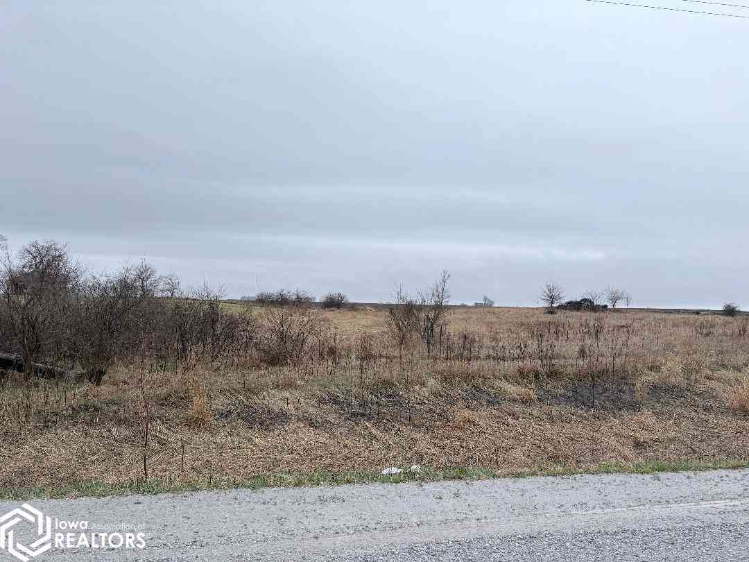 Vacant Land For Sale - 11144 305th Street<br/> Hedrick, IA 52563