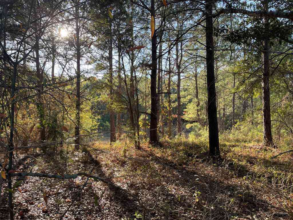 Vacant Land For Sale - 0000 Hamilton Drive<br/> Albany, GA 31721