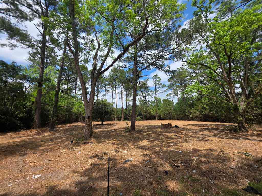 Vacant Land For Sale - 655 NE 12th Avenue<br/> Cairo, GA 39828