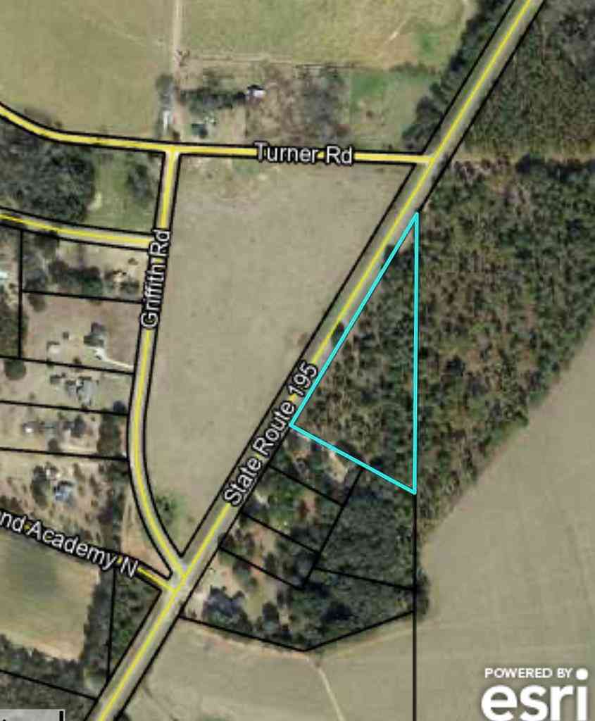 Vacant Land For Sale - 000 State Hwy 195<br/> Leesburg, GA 31763