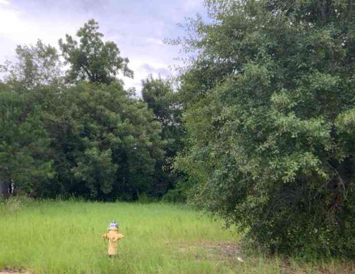 Vacant Land For Sale - 329 Gordon Avenue<br/> Albany, GA 31701