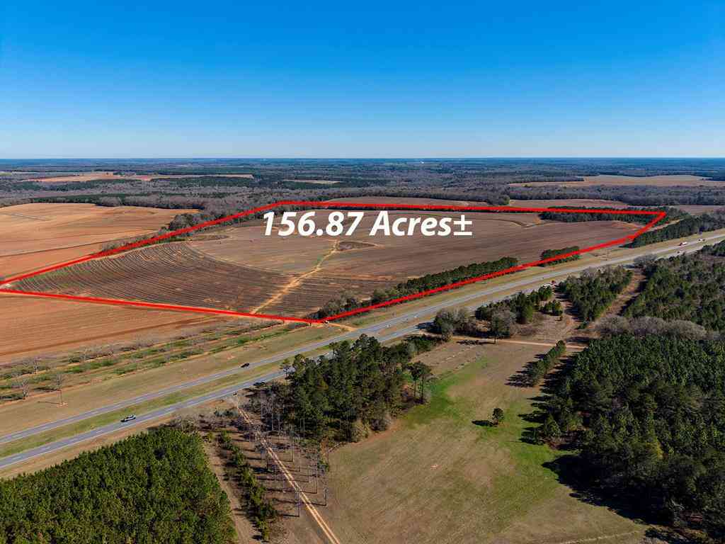 Vacant Land For Sale - 425X Hwy 520<br/> Webster County, Weston, GA 31832