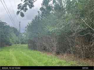 Vacant Land For Sale - 000 Cold Springs Drive<br/> Albany, GA 31705