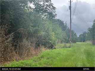 Vacant Land For Sale - 000 Cold Springs Drive<br/> Albany, GA 31705