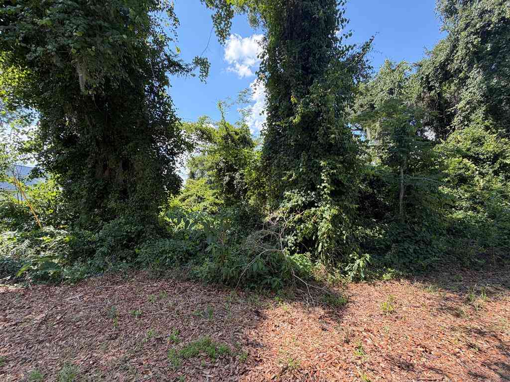 Vacant Land For Sale - 5003 Oak Hill Drive<br/> Lake Park, GA 31636