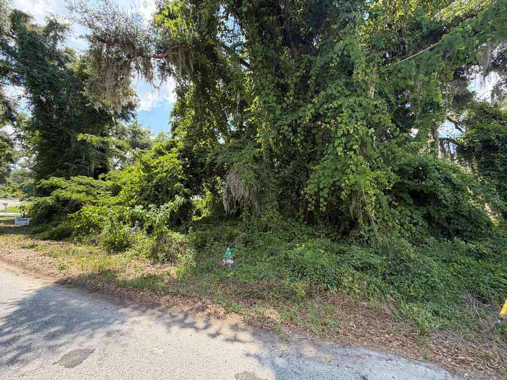 Vacant Land For Sale - 4999 Oak Hill Drive<br/> Lake Park, GA 31636