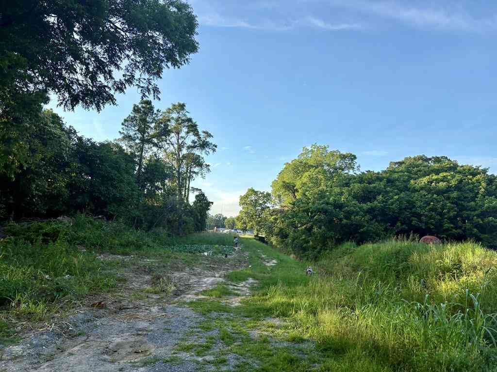 Vacant Land For Sale - W Pope Street<br/> Worth County, Sylvester, GA 31791