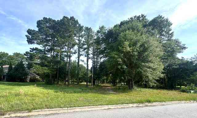 Vacant Land For Sale - 1315 River Pointe Drive<br/> Albany, GA 31701