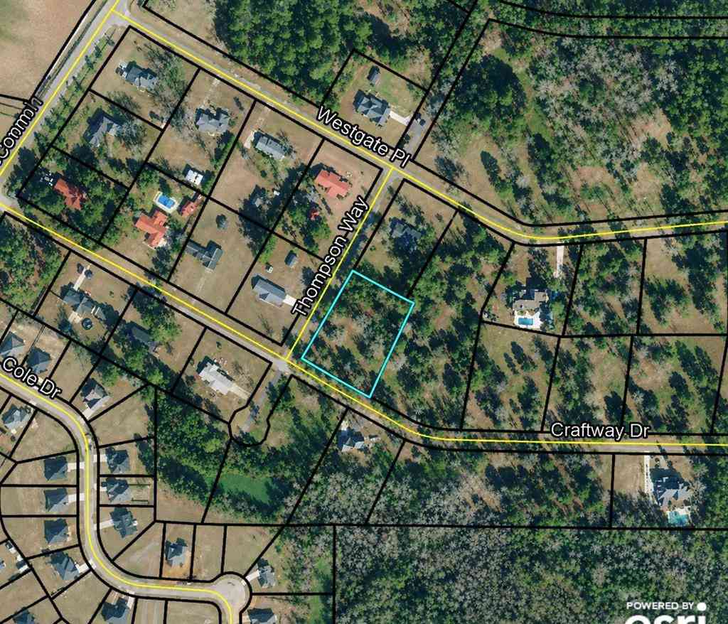 Vacant Land For Sale - 47 Craft Way Drive<br/> Hawkinsville, GA 31036
