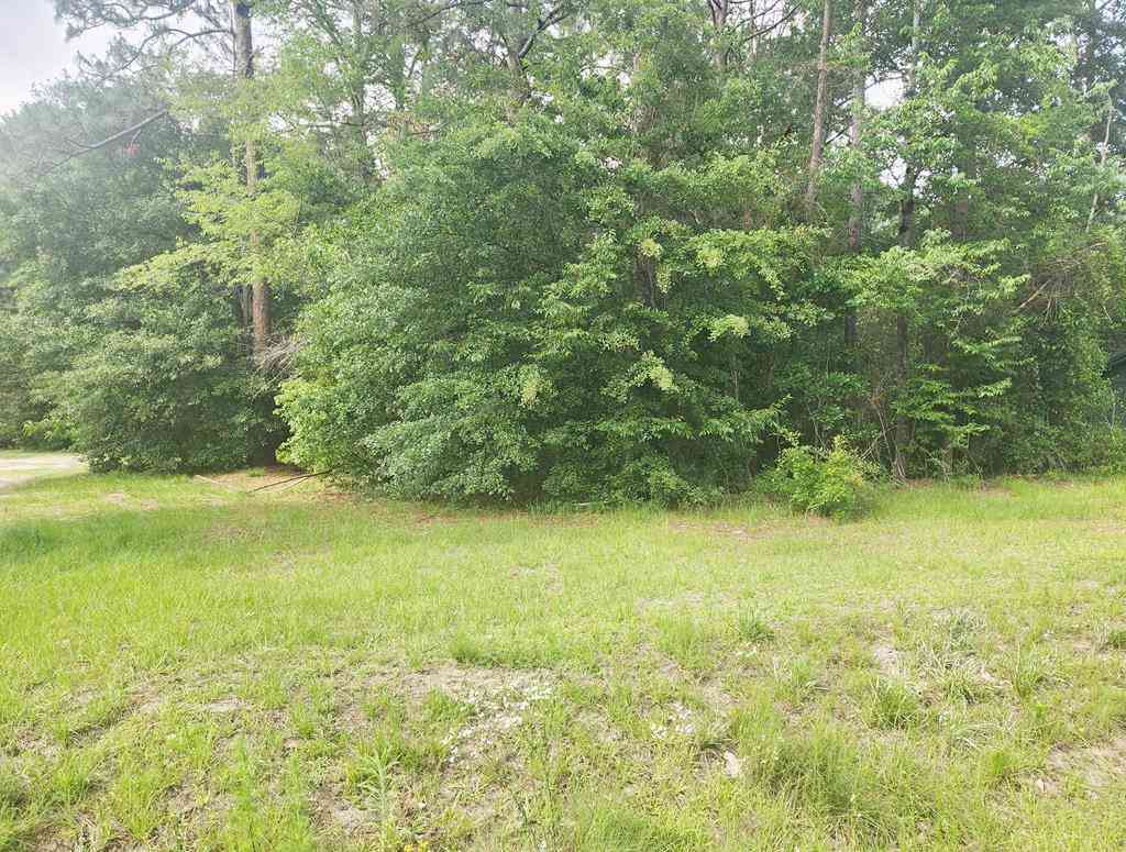 Vacant Land For Sale - 164 Park Place<br/> Sylvester, GA 31791