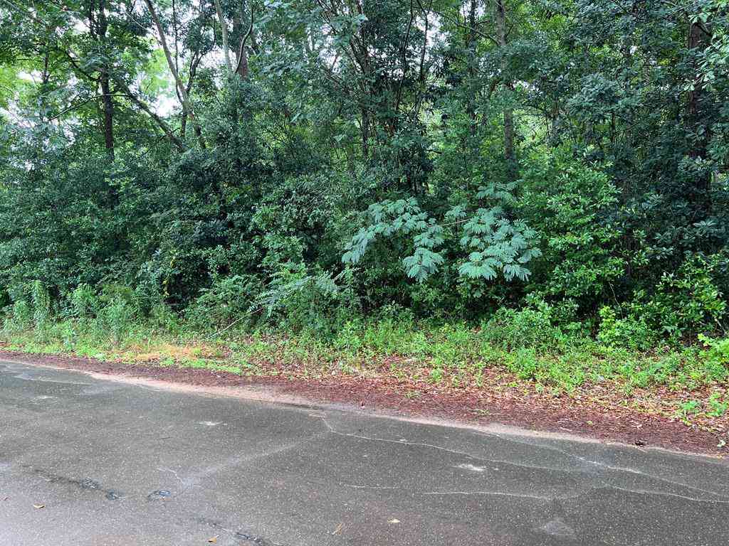 Vacant Land For Sale - Harmony Rd<br/> Stewart County, Richland, GA 31825