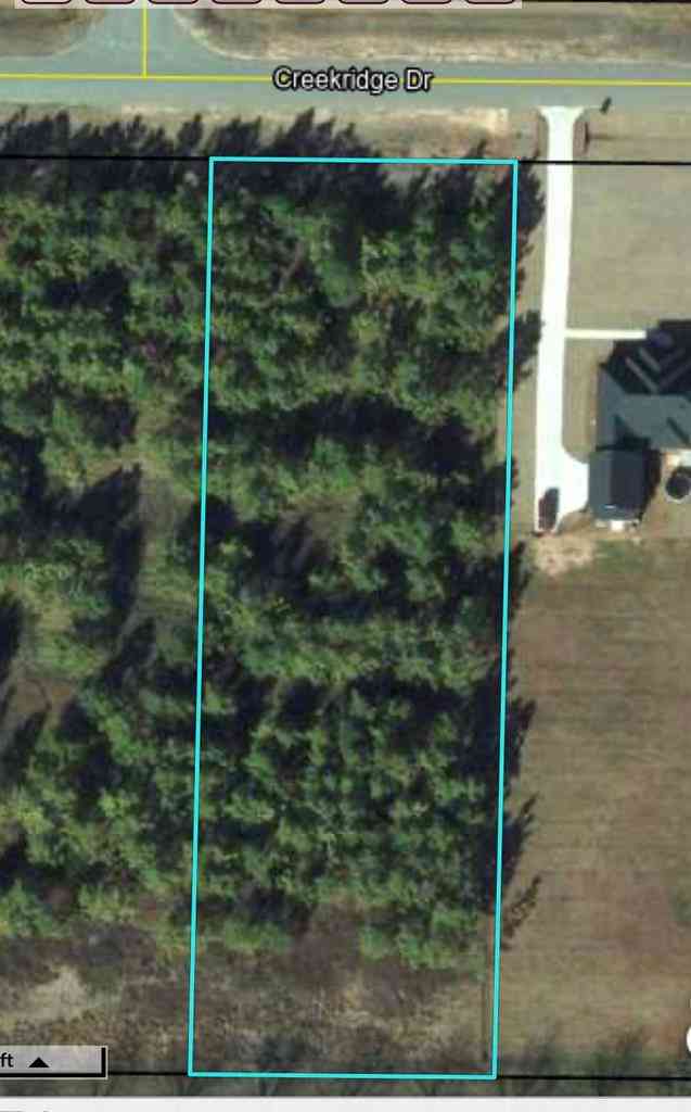 Vacant Land For Sale - 155 Creekridge Drive<br/> Lee County, Leesburg, GA 31763