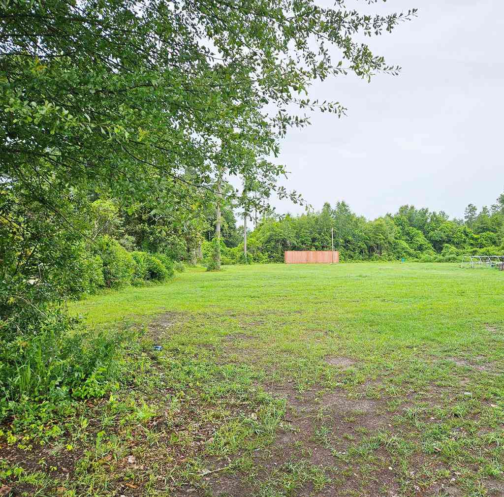 Vacant Land For Sale - 3635 Blue Springs<br/> Dougherty County, Albany, GA 31721