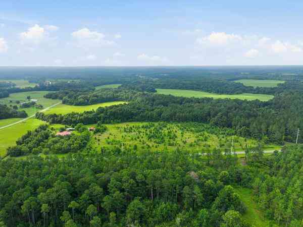 Vacant Land For Sale - N/A Holman Road<br/> Sumter County, Leslie, GA 31764