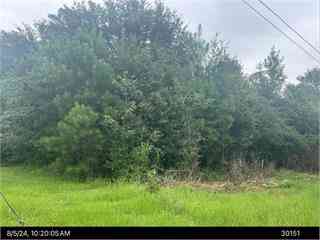 Vacant Land For Sale - 0000 Cold Springs Drive<br/> Dougherty County, Albany, GA 31701