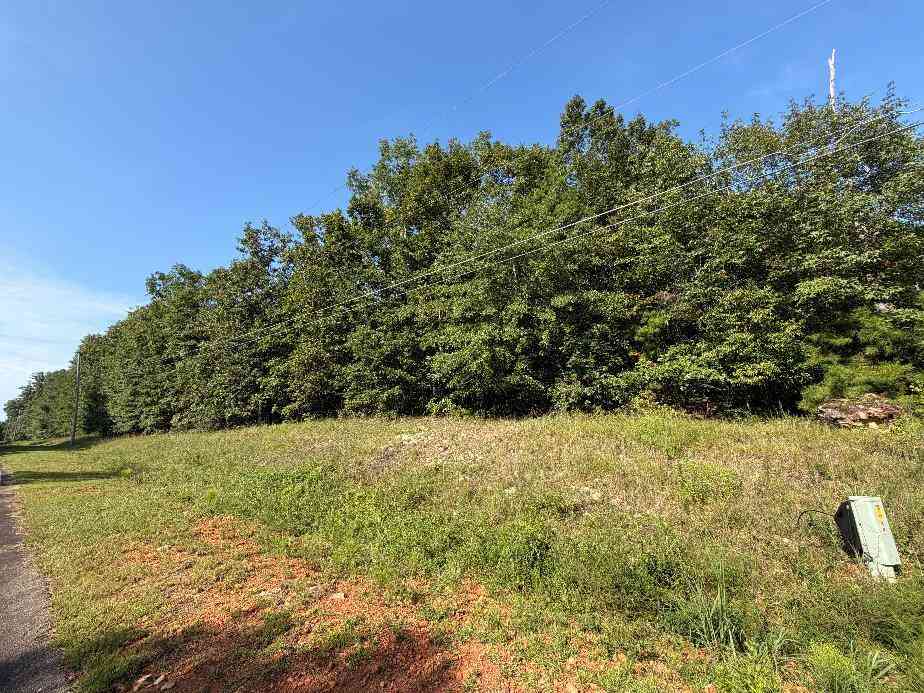 Vacant Land For Sale - W Rock Hill Drive<br/> Sumter County, Americus, GA 31709