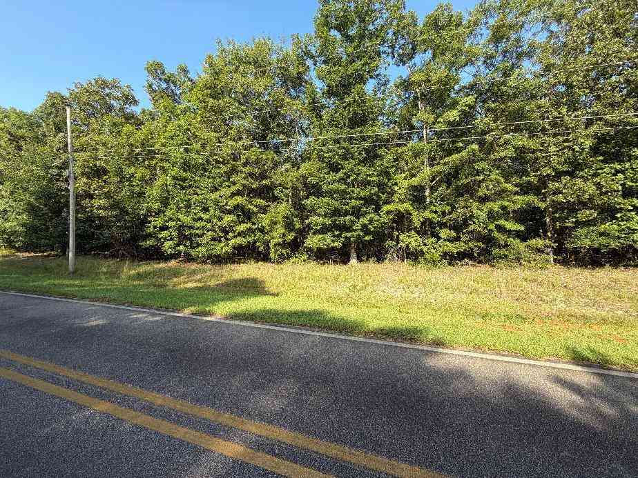 Vacant Land For Sale - W Rock Hill Drive<br/> Sumter County, Americus, GA 31709
