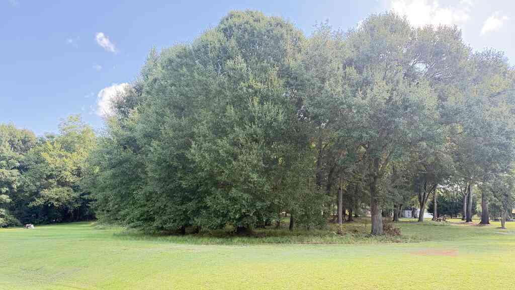 Vacant Land For Sale - LOT 37 Delores Drive<br/> Leesburg, GA 31763