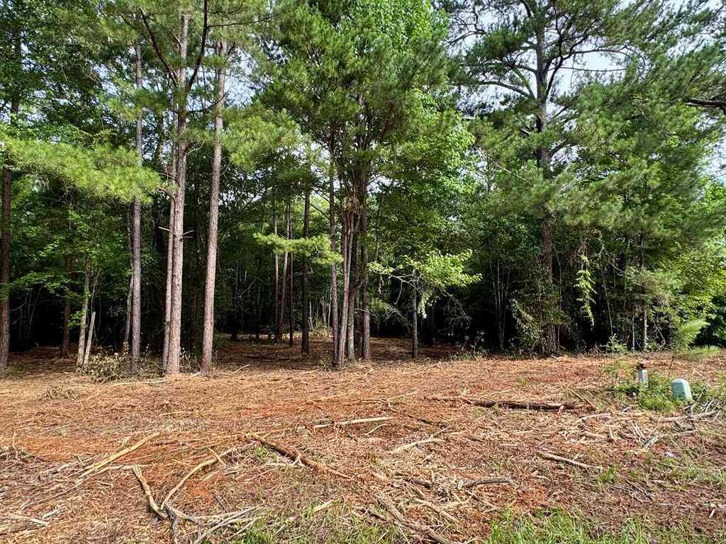 Vacant Land For Sale - LOT 414 Willow Lake Drive<br/> Leesburg, GA 31763