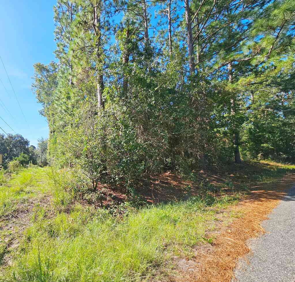 Vacant Land For Sale - 6114 Poplar Road<br/> Albany, GA 31705
