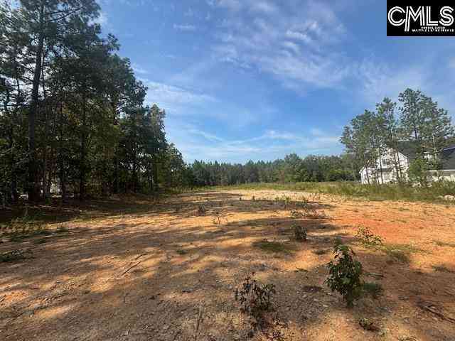 Homes For Sale - 1615 Loner Road<br/> Blythewood, SC 29016