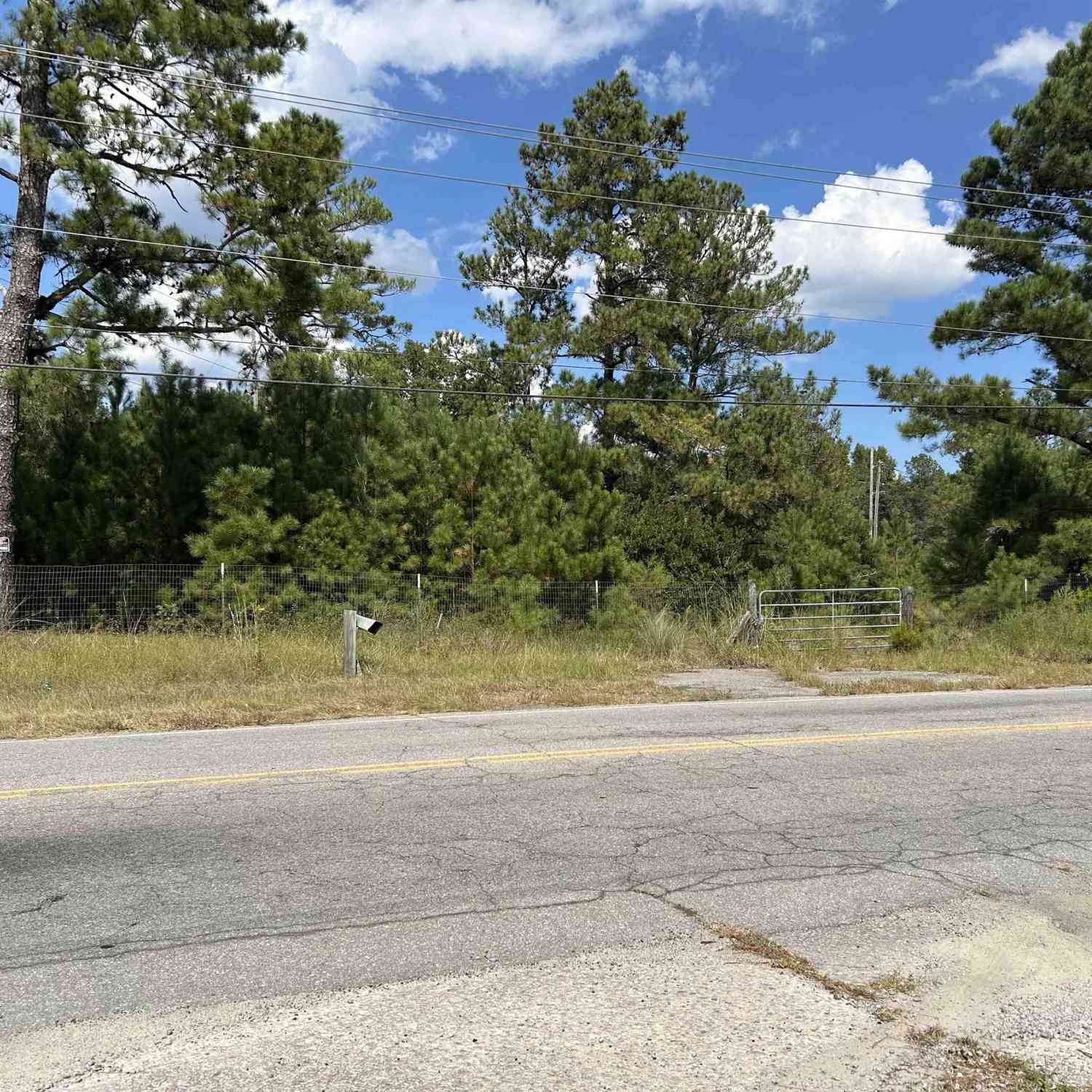 Vacant Land For Sale - N/S Rabon Road<br/> Columbia, SC 29223