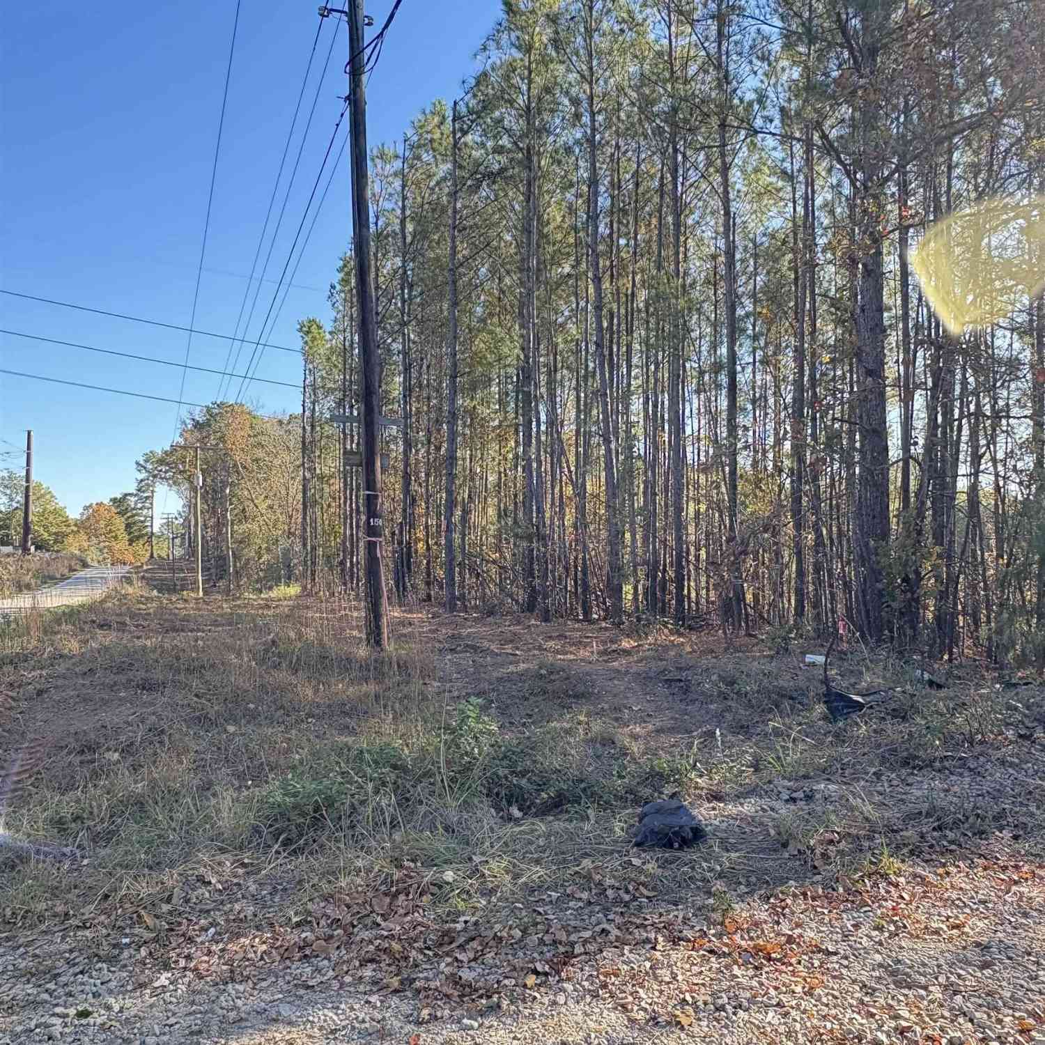 Homes For Sale - 1236 Crane Church Road<br/> Columbia, SC 29203