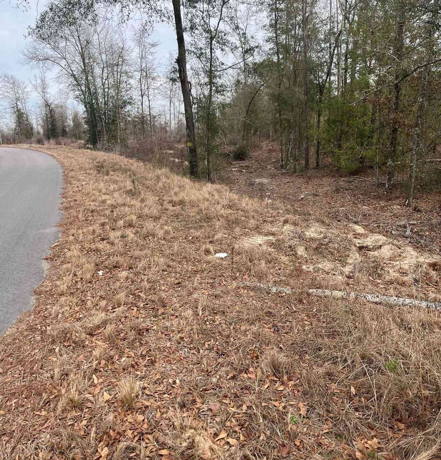 Vacant Land For Sale - WHL 8 Rainbow Drive #WHL 8<br/> Salley, SC 29137