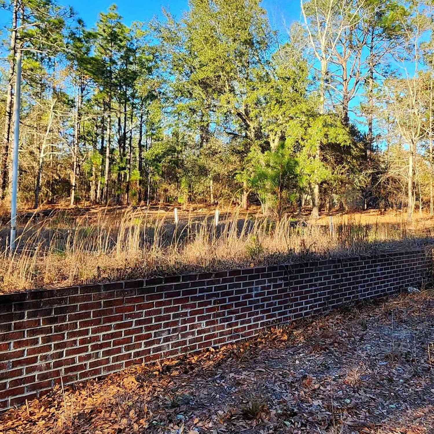 Vacant Land For Sale - 708 Calvary Church Road<br/> Swansea, SC 29160