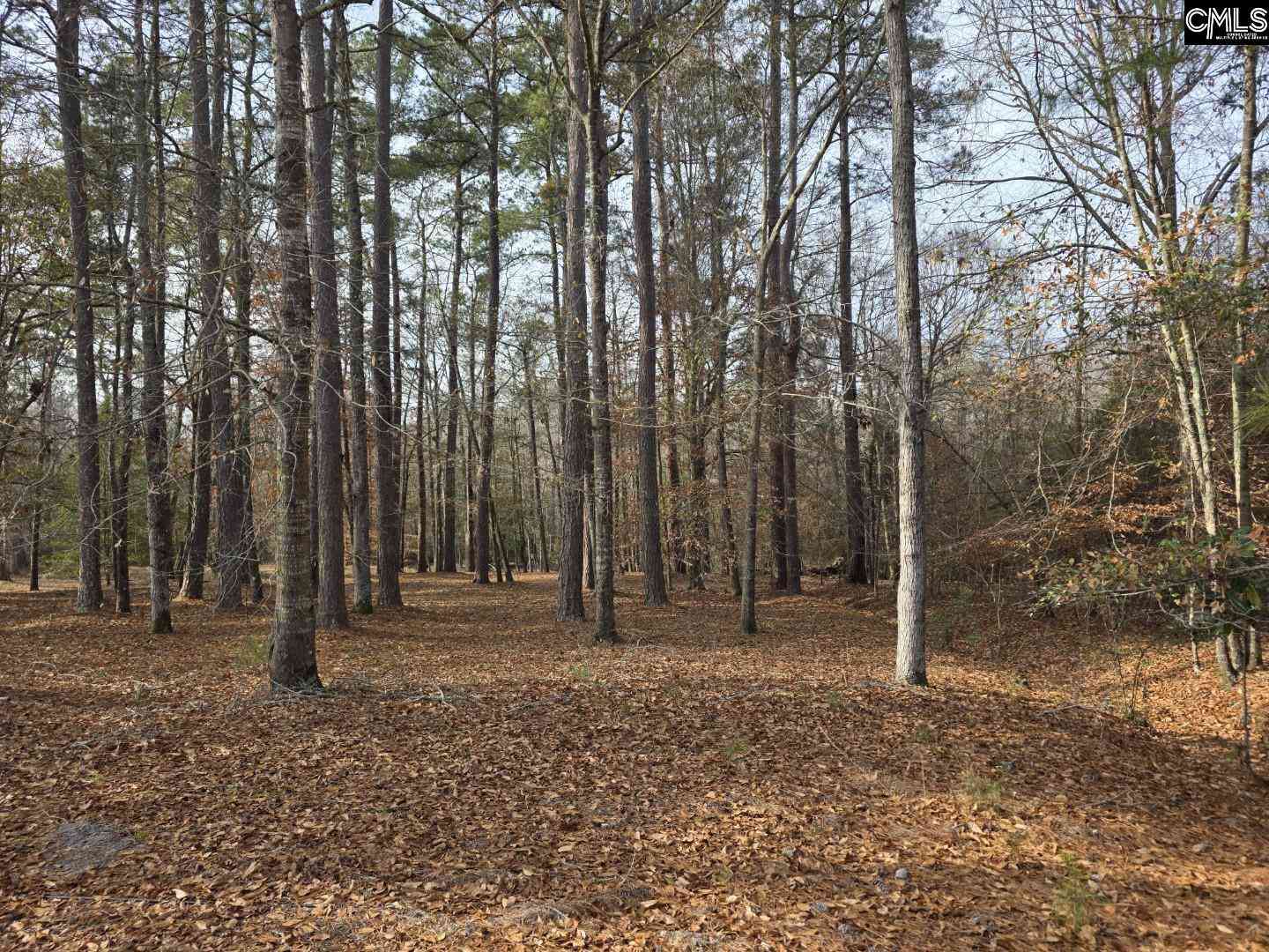 Vacant Land For Sale - 142 Orange Parish Street<br/> Orangeburg County, Orangeburg, SC 29118