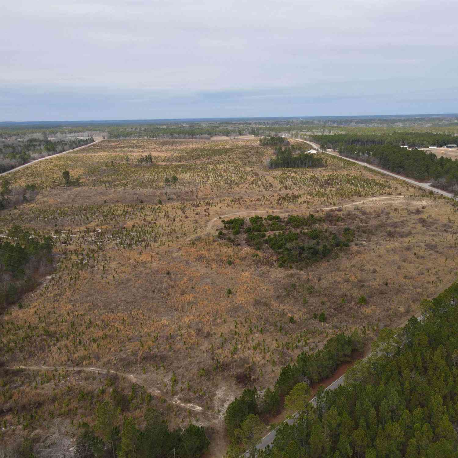 Vacant Land For Sale - TRACT 21 Holland Lane<br/> Camden, SC 29020
