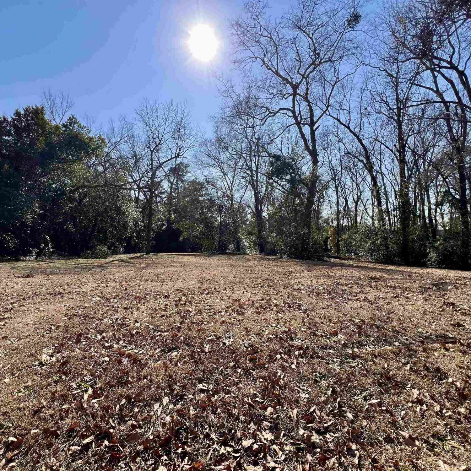 Vacant Land For Sale - 921 Ashley Street<br/> Columbia, SC 29203