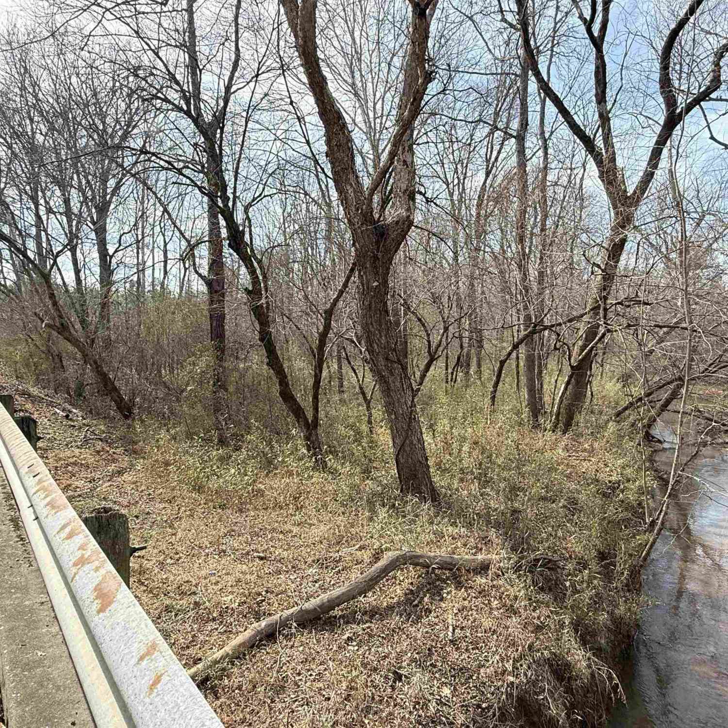 Vacant Land For Sale - TBD Old Catholic Church Road<br/> Richburg, SC 29729