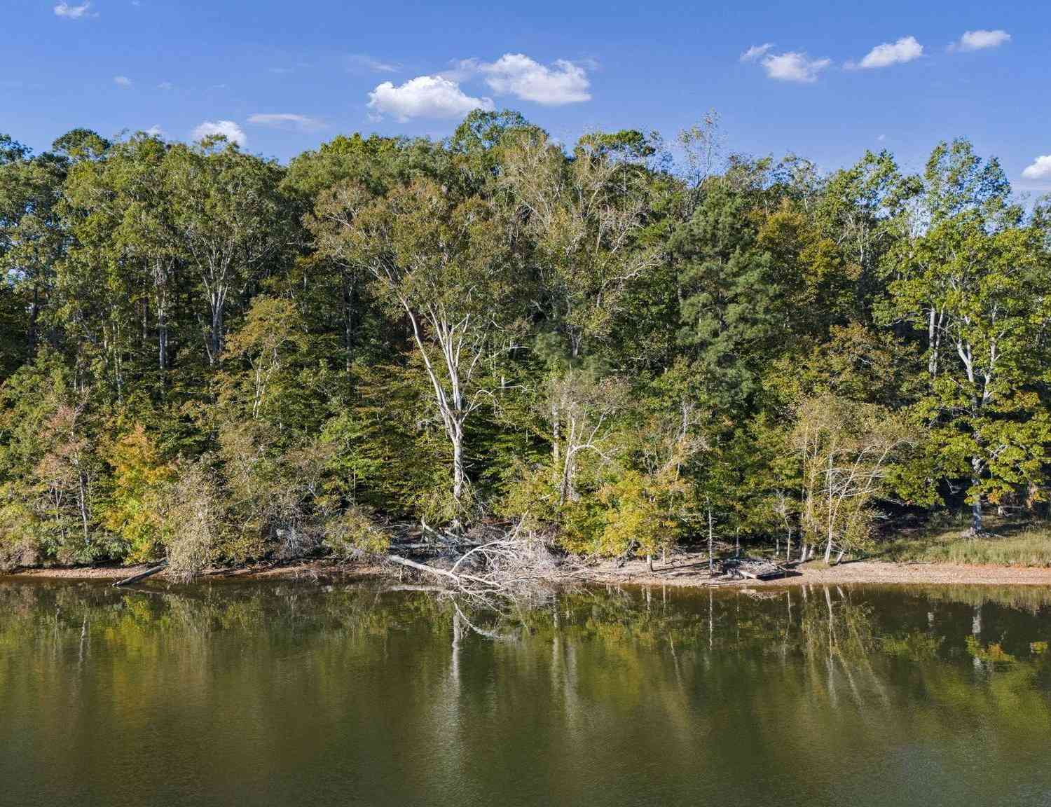 Homes For Sale - Rock N Creek Road #LOT 2<br/> Lexington, SC 29070