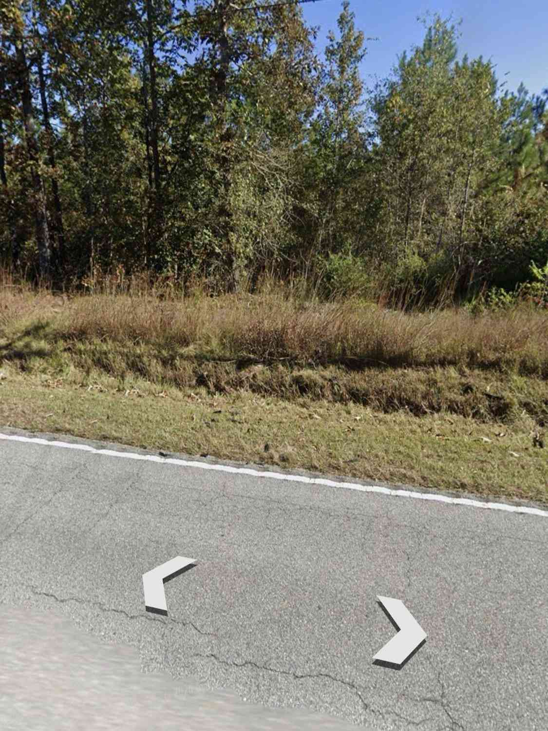 Vacant Land For Sale - 3081 Congaree Fords<br/> Gadsden, SC 29052